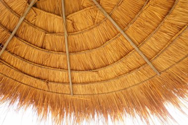 Sazlı çatının altında, beyaz gökyüzü, alçak açı