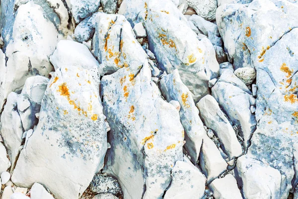 亚得里亚海沿岸石灰石的结构 青苔石的背景结构 — 图库照片