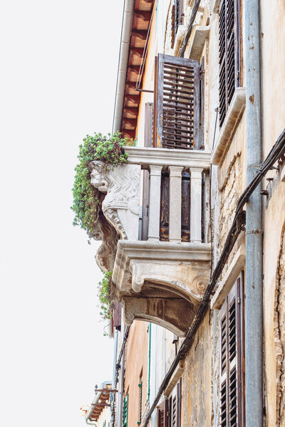 Old balcony with a sculpture of a lion entwined with a plant as an exterior of a medieval street in Croatia