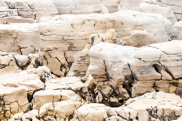 亚得里亚海沿岸的石头 被海浪冲刷的层状砂岩或石灰岩 — 图库照片