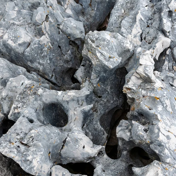 亚得里亚海沿岸的岩溶石 抽象质感 — 图库照片