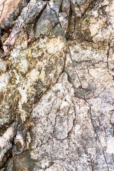 背景是亚得里亚海沿岸石头的质地 — 图库照片