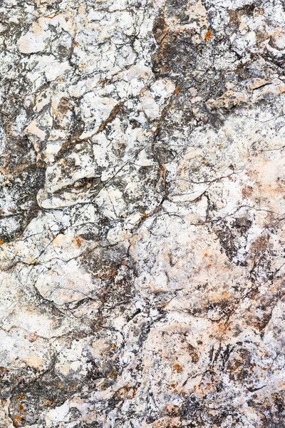 背景是亚得里亚海沿岸石头的质地 — 图库照片