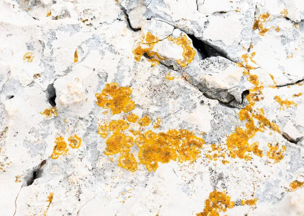Textura Abstractă Piatră Lichen Fundal Pentru Tapet — Fotografie, imagine de stoc