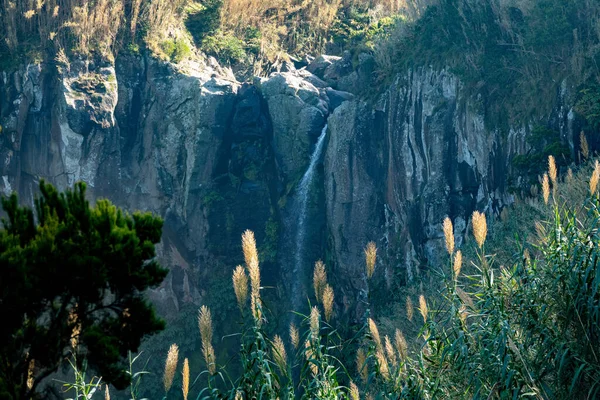 Salto Farinha Park Sao Miguel Waterfall Azorerna Portugal Europa — Stockfoto