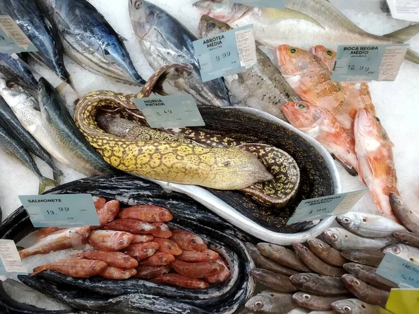 Deniz Ürünleri Tezgahında Balık Fiyat Etiketleri — Stok fotoğraf