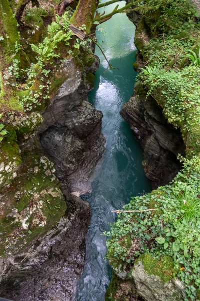 Martvili Kanjon Georgien Vacker Naturlig Kanjon Med Bergsflod — Stockfoto