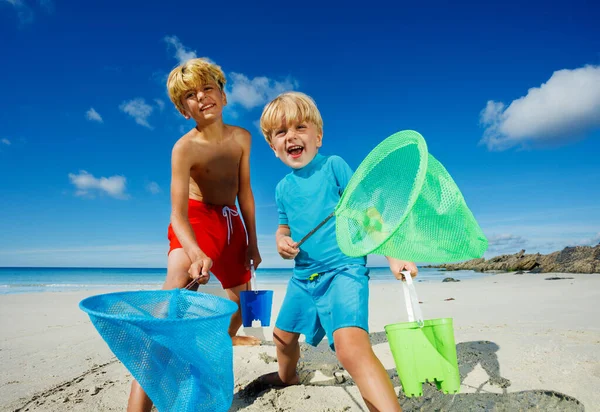 Two Happy Boys Brothers Stand Butterfly Nets Catching Critters Sand — Fotografia de Stock