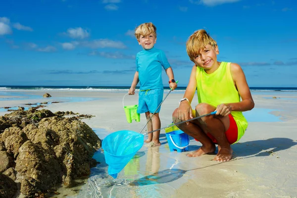 Two Brother Boys Play Butterfly Net Sand Beach Catching Crabs — Fotografia de Stock