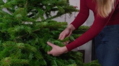 Kadın elleriyle dikkatlice dokunuyor Yeni Noel ağacı dalı