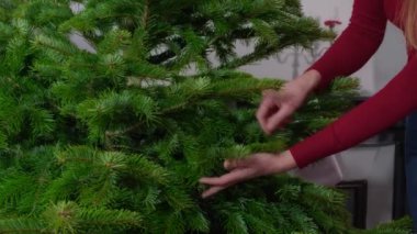 Kadın elleriyle dikkatlice dokunuyor Yeni Noel ağacı dalı