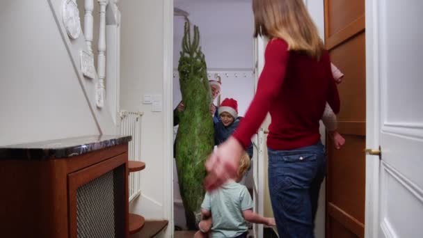 爸爸带着快乐的儿子戴着圣诞礼帽 给妈妈和小孩们带来了圣诞树 — 图库视频影像