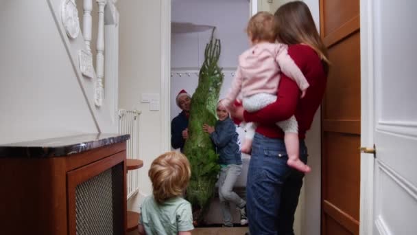 Dad Happy Son Santa Hats Bring Christmas Tree Mother Small — Stock video