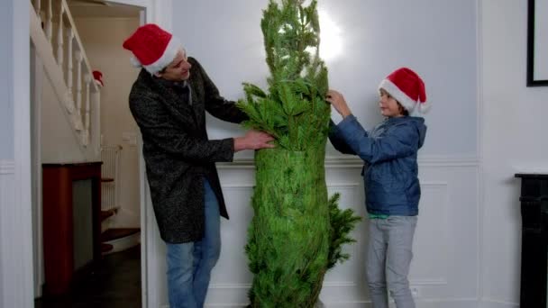 Father Child Christmas Tree Standing Home Living Room — Vídeo de Stock