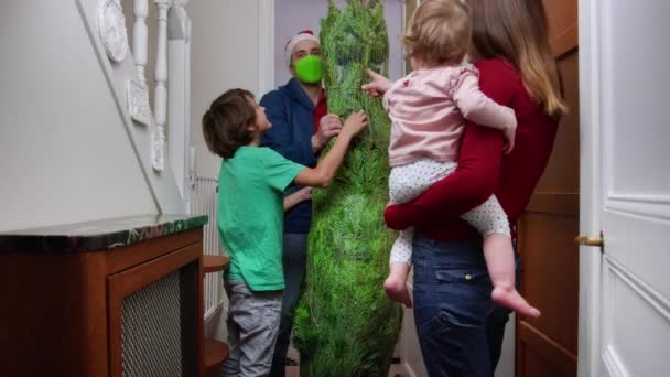 Delivery Man Santa Hat Face Mask Bring Christmas Tree Home — Vídeo de stock