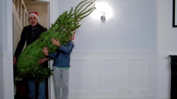 爸爸和孩子 圣诞树矗立在客厅里 — 图库视频影像