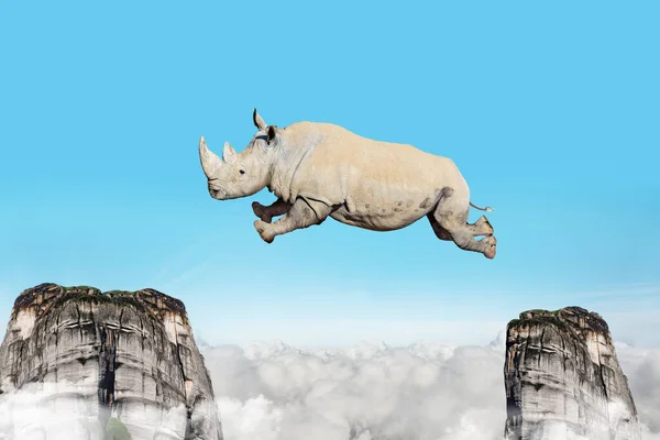 Concept Heavy Rhinoceros Jump Mountains Rocks Clouds Blue Sky — Fotografia de Stock