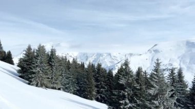 Beautiful snow covered fir forest trees motion view in on alpine resort