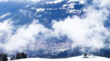 Beautiful snow covered fir forest trees motion view in on alpine resort