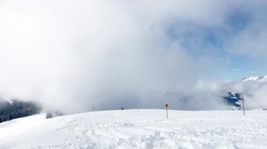 Areal view of snow covered fir forest, trees and Alps mountains during snowfall