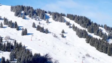 Beautiful snow covered fir forest trees motion view in on alpine resort