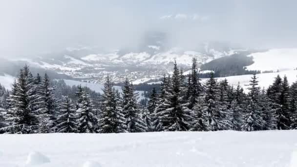 Beautiful Snow Covered Fir Forest Trees Motion View Alpine Resort — Stockvideo