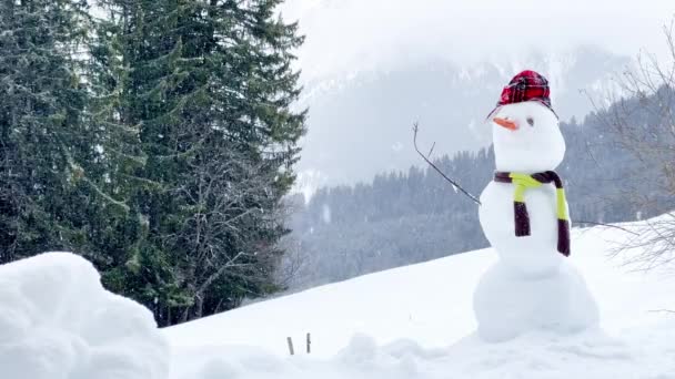 Снеговик Одетый Шапку Шарф Горном Лесу Зимой Время Снегопада — стоковое видео