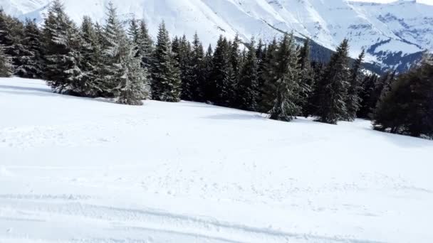 Hermosos Árboles Abeto Cubierto Nieve Vista Movimiento Resort Alpino — Vídeo de stock