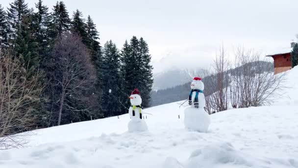 Due Pupazzi Neve Decorati Con Cappelli Sciarpe Sopra Foresta Montagna — Video Stock