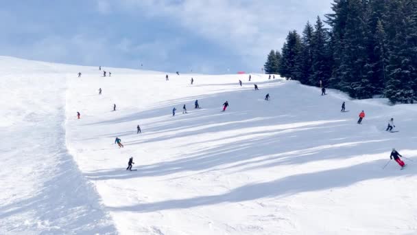 Alpine Ski Track Panoramic View High Mountains Winter — 图库视频影像