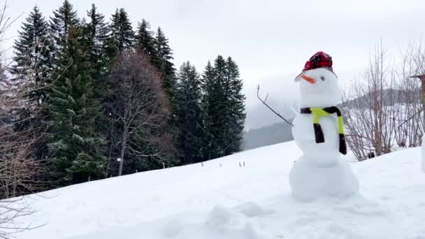 Сніговик Одягнений Капелюхом Шарфом Гірському Лісі Взимку Під Час Снігопадів — стокове відео