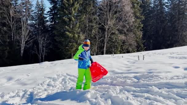 冬休みの山の中の少年とそり — ストック動画