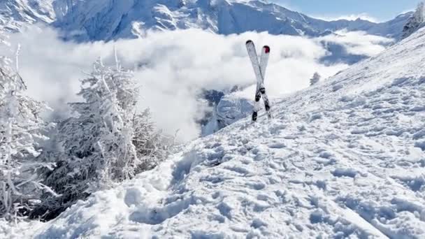 Paar Skier Schnee Mit Blick Auf Wunderschöne Schneebedeckte Berggipfel Tal — Stockvideo