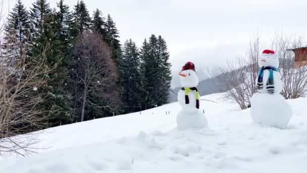 Dva Sněhuláci Zdobené Klobouky Šátky Přes Horský Les Během Zimního — Stock video