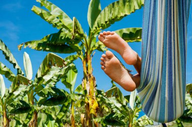 Close-up of the feet of the little boy in hammock resting in the garden over tropical palm trees
