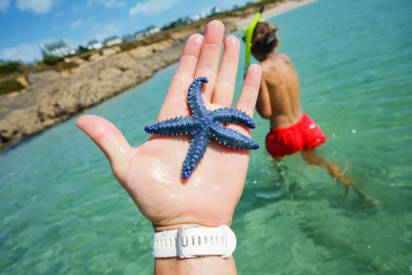 Close Photo Man Show Beautiful Blue Starfish Caught Beach Sea — Photo