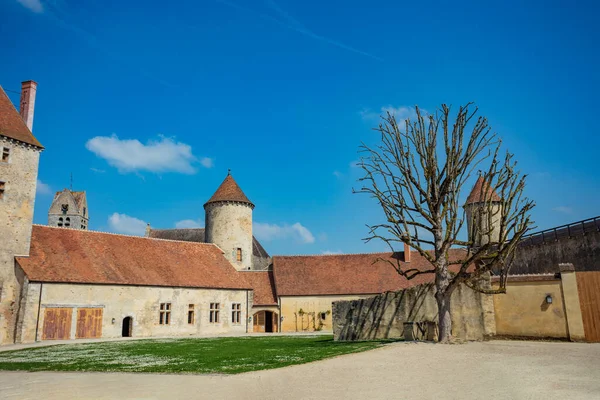 Old Tree Internal Court Surrounded Walls Towers Blandy Les Tours — Zdjęcie stockowe