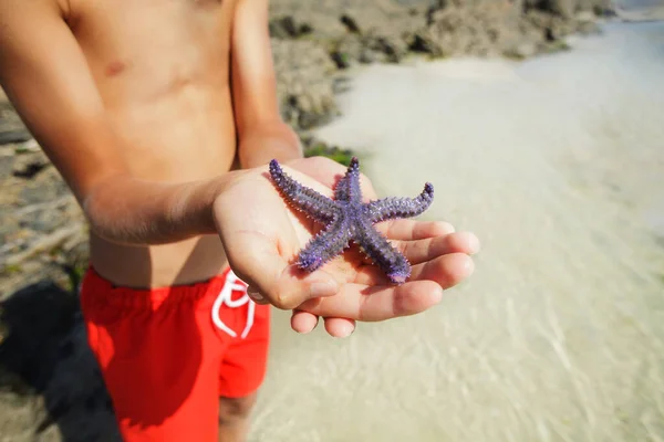 Close Photo Child Show Beautiful Blue Starfish Caught Beach Sea — Photo
