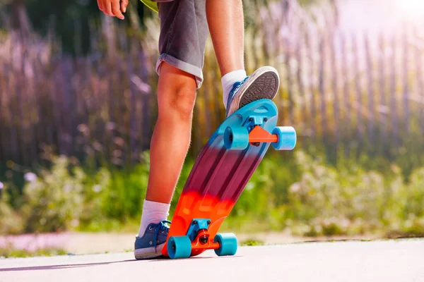 Close-up of a skater stand and pose standing on skateboard on the pink ramp in skatepark
