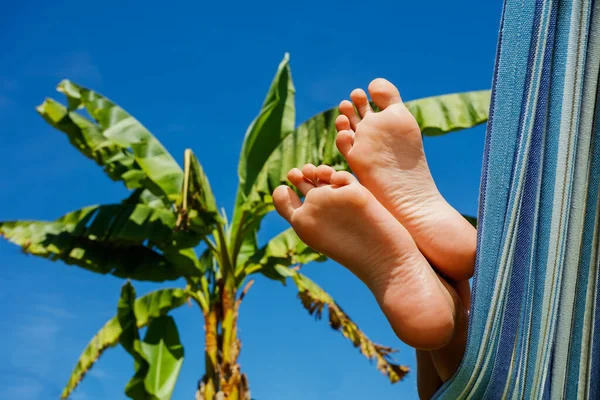 Feet of the boy in hammock resting in the garden with tropical palm trees image over blue summer sky