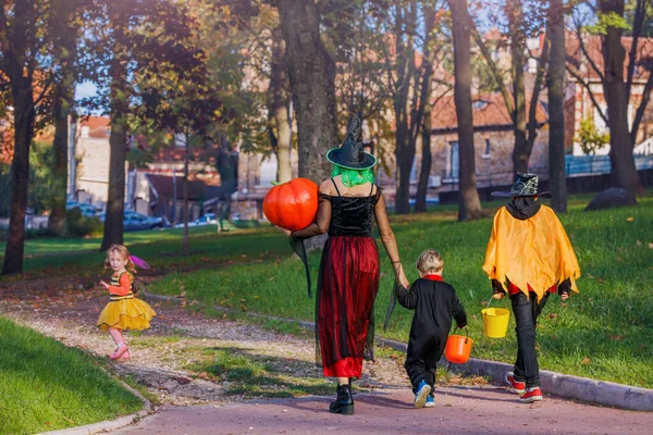 View from back of family of mother and group of kids boys, girls in Halloween disguise in costumes hold bucket for candies with huge pumpkin walk