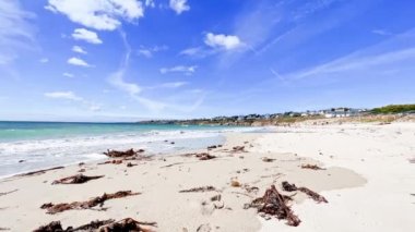 Happy little boy running in ocean at the sand beach on the summer vacation