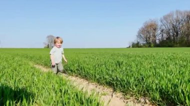 Little blond handsome boy run in the fresh spring field