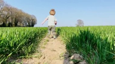 Little blond handsome boy run in the fresh spring field