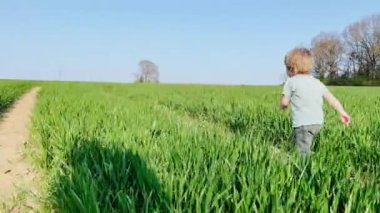 Little blond handsome boy run in the fresh spring field