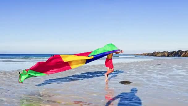 Boy Run Colorful Kite Sea Beach Action Motion Dynamic Concept — Stockvideo