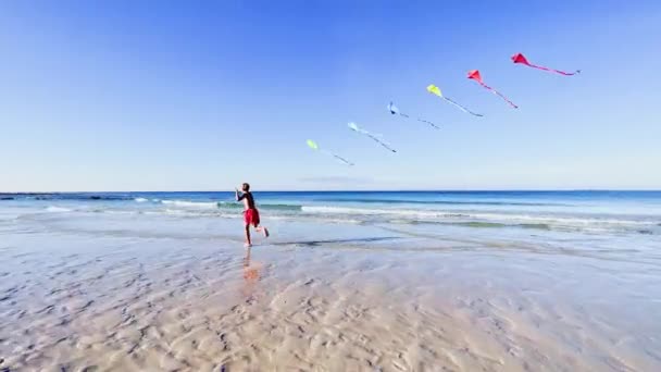 Мальчик Бежит Красочным Воздушным Змеем Над Морем Пляжем Динамическая Концепция — стоковое видео