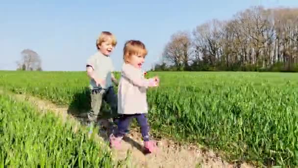 Due Bambini Piccoli Una Ragazza Ragazzo Corrono Insieme Nel Campo — Video Stock