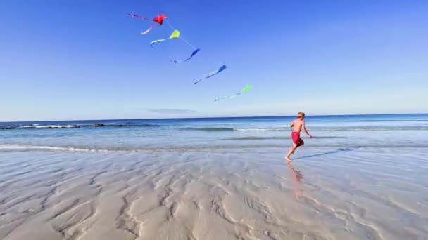 Menino Correr Com Papagaio Colorido Sobre Mar Praia Ação Movimento — Vídeo de Stock
