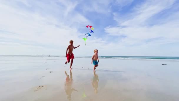 Δύο Όμορφα Αγόρια Τρέχουν Πολύχρωμα Σετ Χαρταετών Πάνω Από Γαλάζιο — Αρχείο Βίντεο
